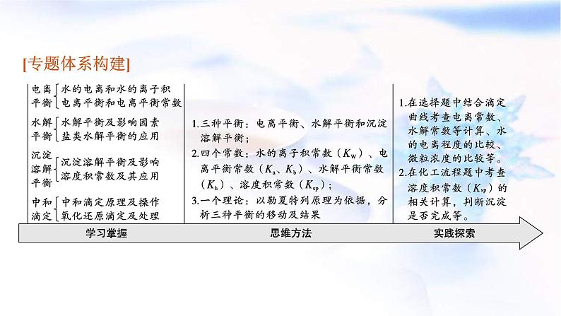 新高考化学二轮复习课件专题八电解质溶液(含解析)第3页