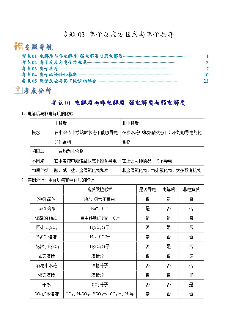 新高考化学二轮复习考点提升讲与练专题03 离子反应方程式与离子共存(专讲)(解析版)01