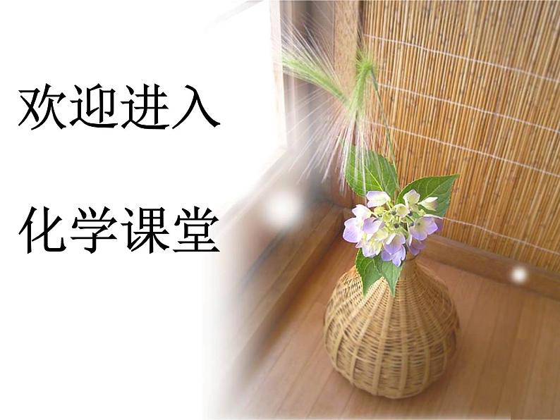 2024-2025学年人教版(2019)必修第一册1.1物质的分类 课件01