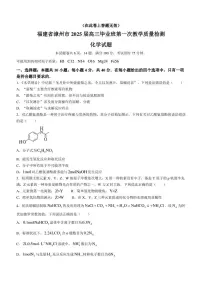 福建省漳州市2024-2025学年高三上学期第一次质量检测化学试题 含答案