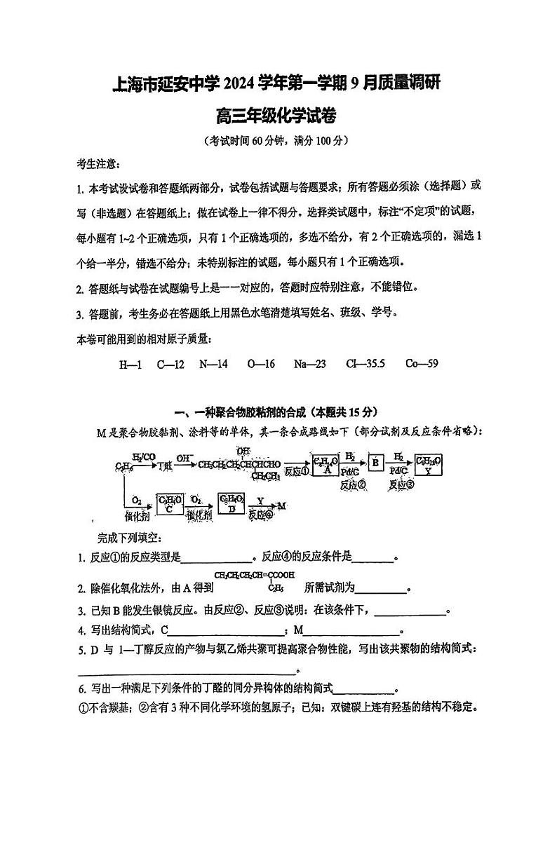 上海市延安中学2024-2025学年高三上学期9月质量调研+化学试卷+01