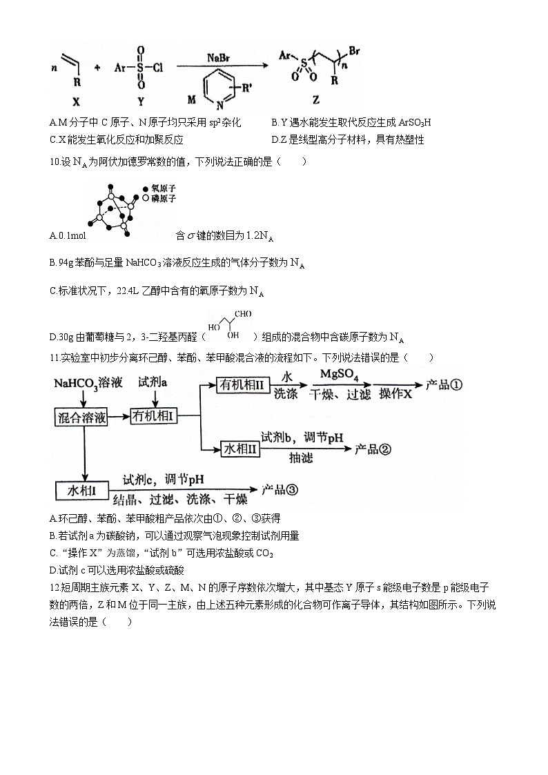 广东省深圳外国语学校2024-2025学年高三上学期9月月考化学试题第3页
