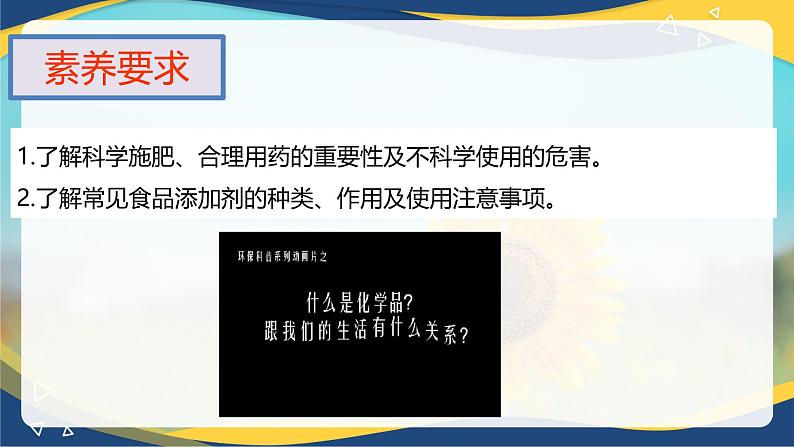 8.2.1化学品的合理使用(课件)-高一化学同步教学(人教版2019必修第二册)第2页