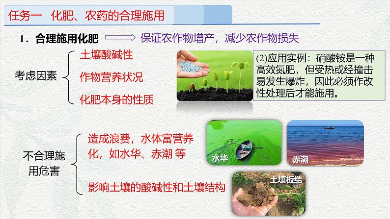 8.2.1化学品的合理使用(课件)-高一化学同步教学(人教版2019必修第二册)第6页