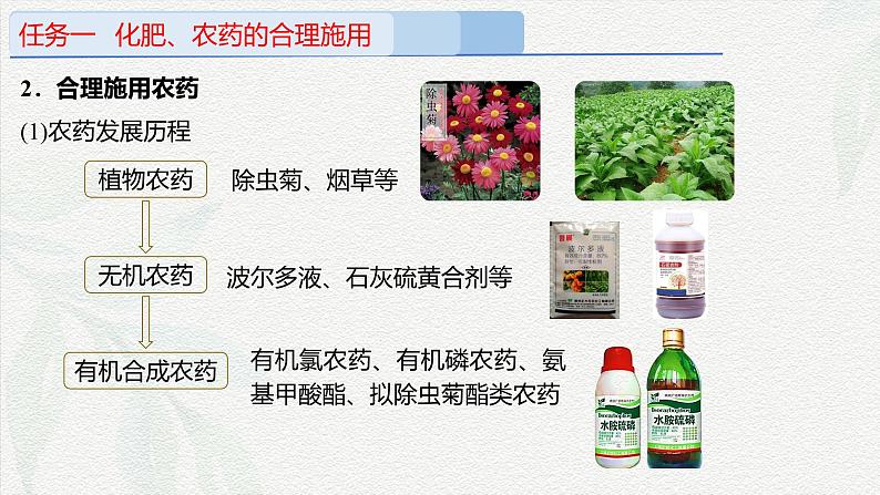 8.2.1化学品的合理使用(课件)-高一化学同步教学(人教版2019必修第二册)第7页