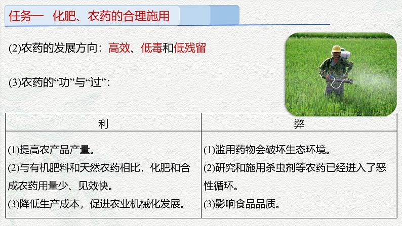 8.2.1化学品的合理使用(课件)-高一化学同步教学(人教版2019必修第二册)第8页