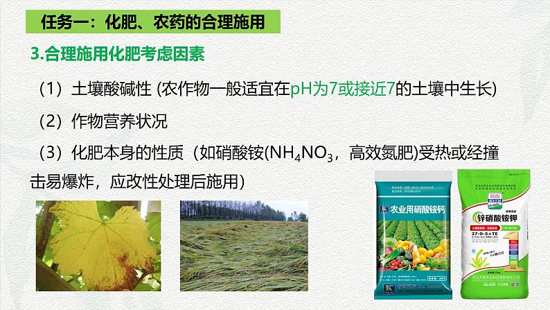 8.2化学品的合理使用 课件 高一下学期化学人教版(2019)必修第二册第6页