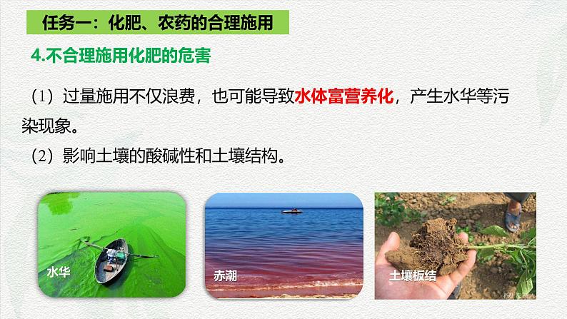 8.2化学品的合理使用 课件 高一下学期化学人教版(2019)必修第二册第7页
