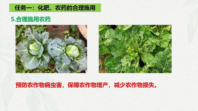 8.2化学品的合理使用 课件 高一下学期化学人教版(2019)必修第二册第8页