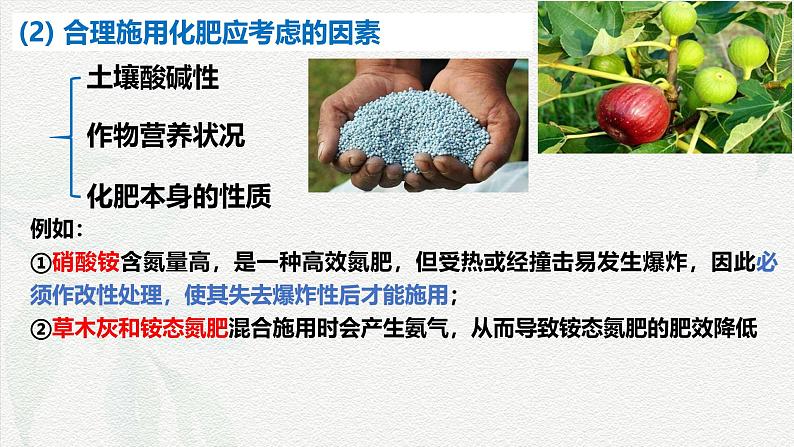 8.2化学品的合理使用 课件 高一下学期化学人教版(2019)必修第二册第5页