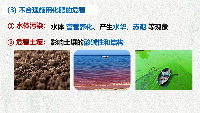 8.2化学品的合理使用 课件 高一下学期化学人教版(2019)必修第二册第6页