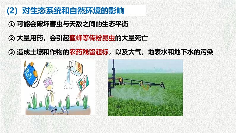 8.2化学品的合理使用 课件 高一下学期化学人教版(2019)必修第二册第8页