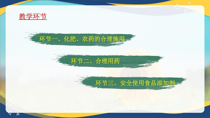 第八章第二節(jié)《化學品的合理使用》課件-高一化學人教版2019必修第二冊第4頁