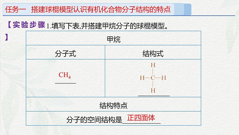 实验活动8 搭建球棍模型认识有机化合物分子结构的特点(课件)-高一化学同步教学(人教版2019必修第二册)第6页