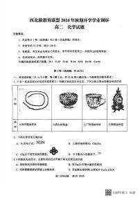 重庆市西北狼联盟2024-2025学年高二上学期入学联考化学试题