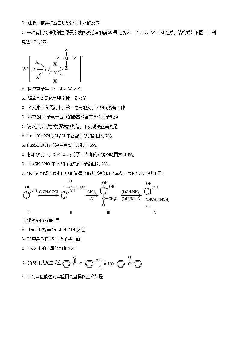 四川省内江市威远县威远中学2024-2025学年高三上学期9月月考化学试题 Word版无答案第2页