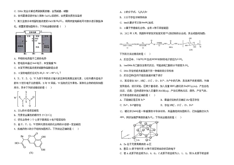 湖南省衡阳市衡阳县第四中学2024-2025学年高三上学期9月月考化学试题第2页