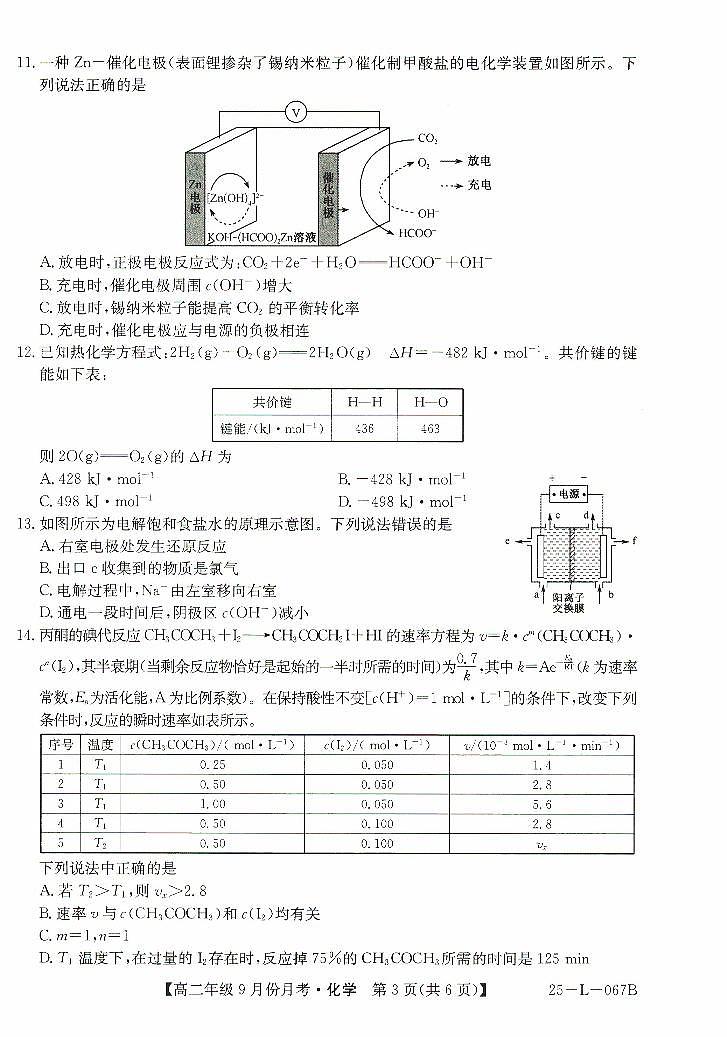 河北省沧州市2024-2025学年高二上学期9月月考化学试题第3页