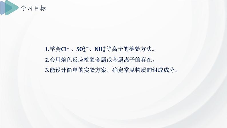 2.1 课时2 物质的检验 物质性质和变化的探究 课件 2024-2025学年高一化学苏教版(2019)必修第一册第2页