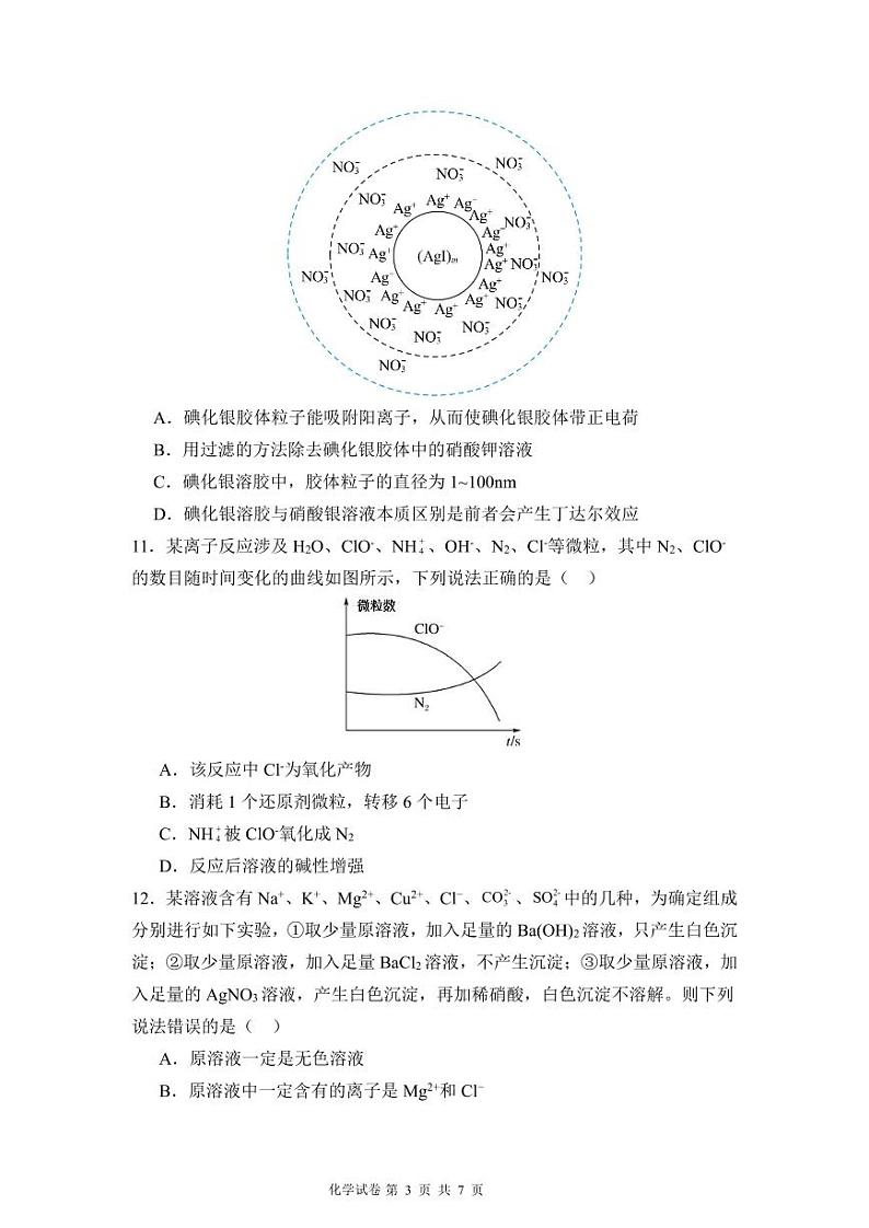 湖北省荆州中学2024-2025学年高一上学期9月月考 化学试卷第3页