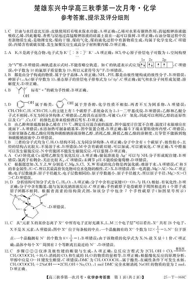 云南省楚雄东兴中学2024-2025学年高三上学期9月月考化学试题01