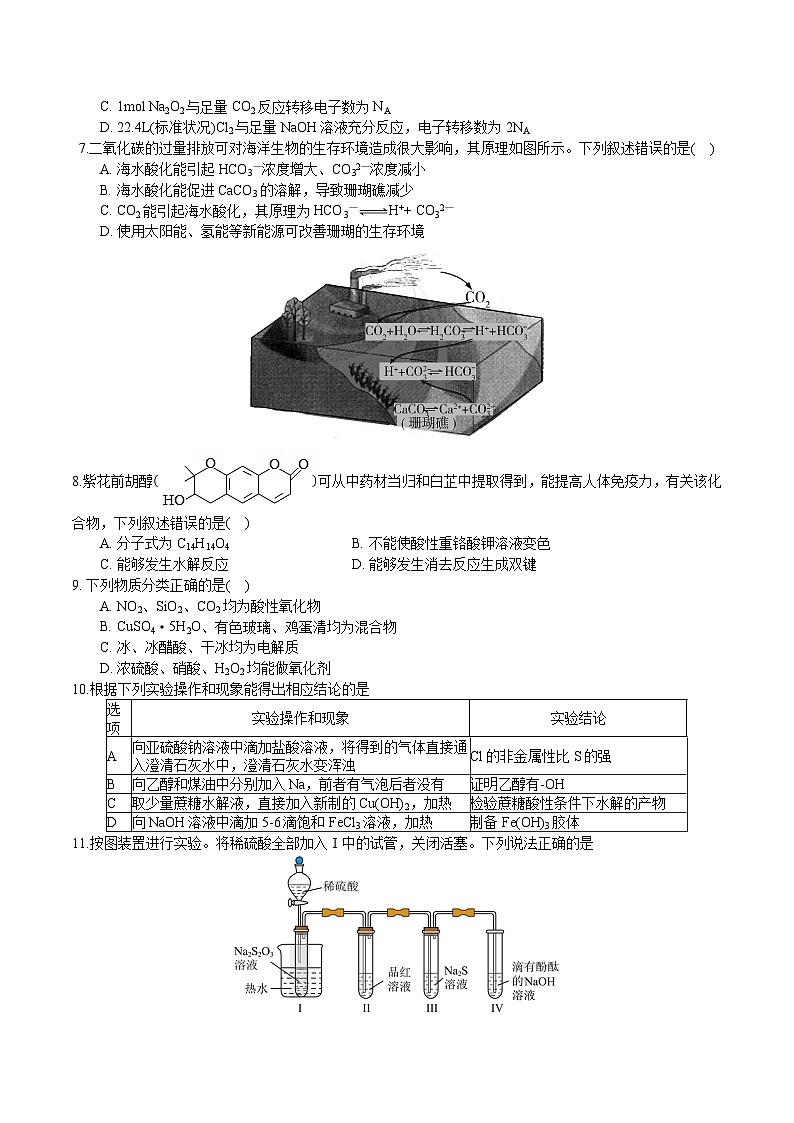 四川省成都列五中学2024-2025学年高三上学期9月月考化学试题02