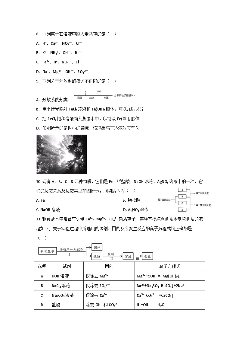 广东省广州市北京师范大学广州实验学校2024-2025学年高一上学期9月 月考化学试题第2页