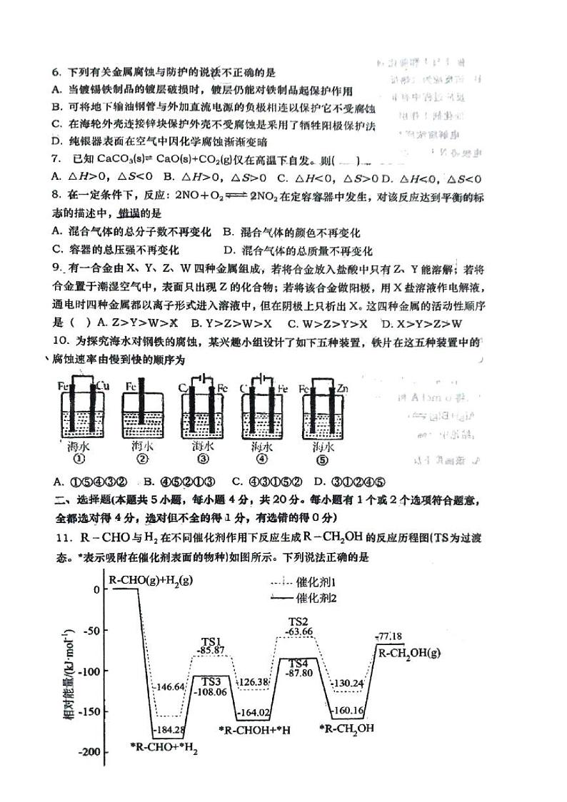 山东省青岛第六十七中学2024-2025学年高二上学期10月月考 化学试题02