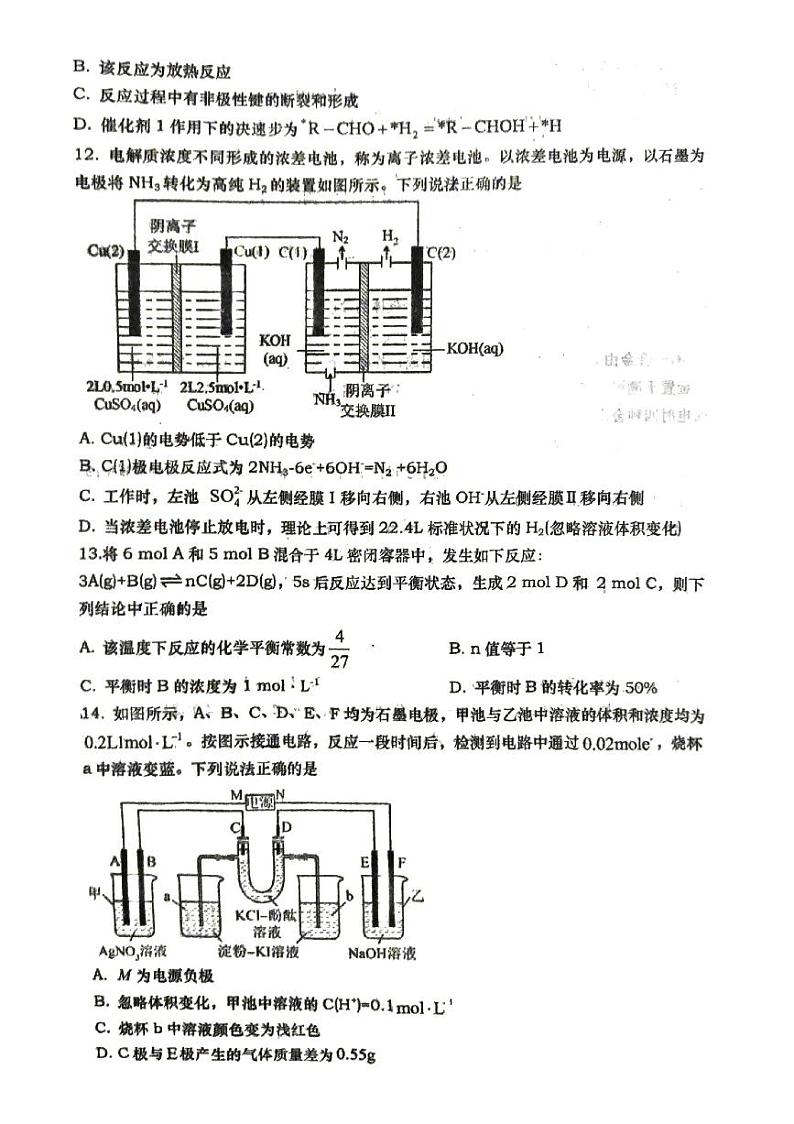 山东省青岛第六十七中学2024-2025学年高二上学期10月月考 化学试题03