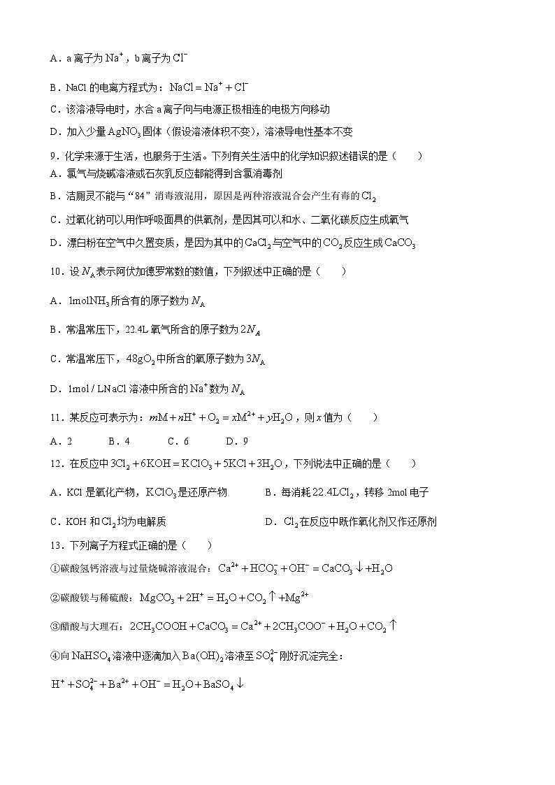 湖北省宜昌市第一中学2024-2025学年高一上学期10月月考 化学试卷(无答案)第3页