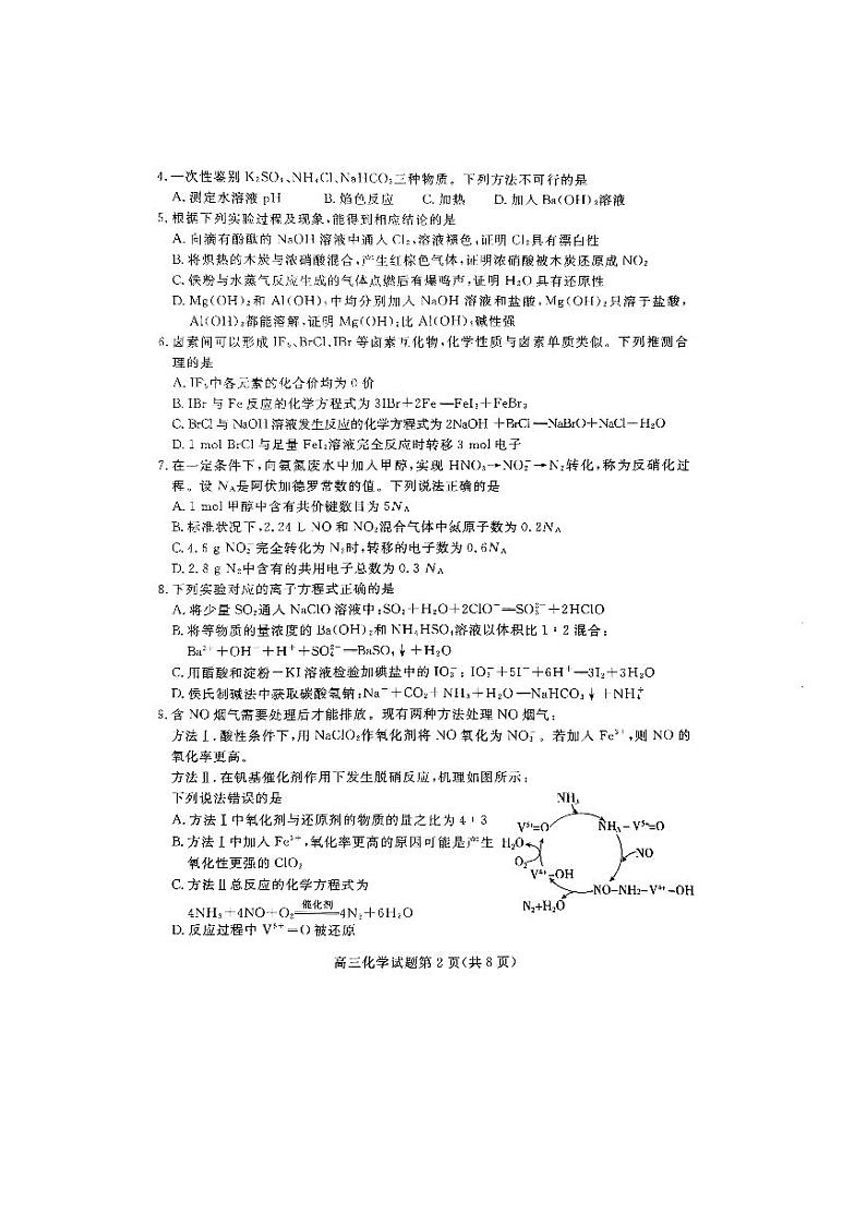 山东省新高考联合质量测评2024-2025学年高三上学期10月联考+化学试题第2页