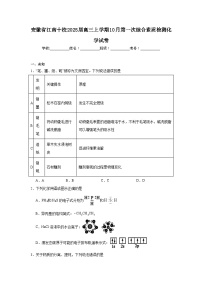 安徽省江南十校2025届高三上学期10月第一次综合素质检测化学试卷