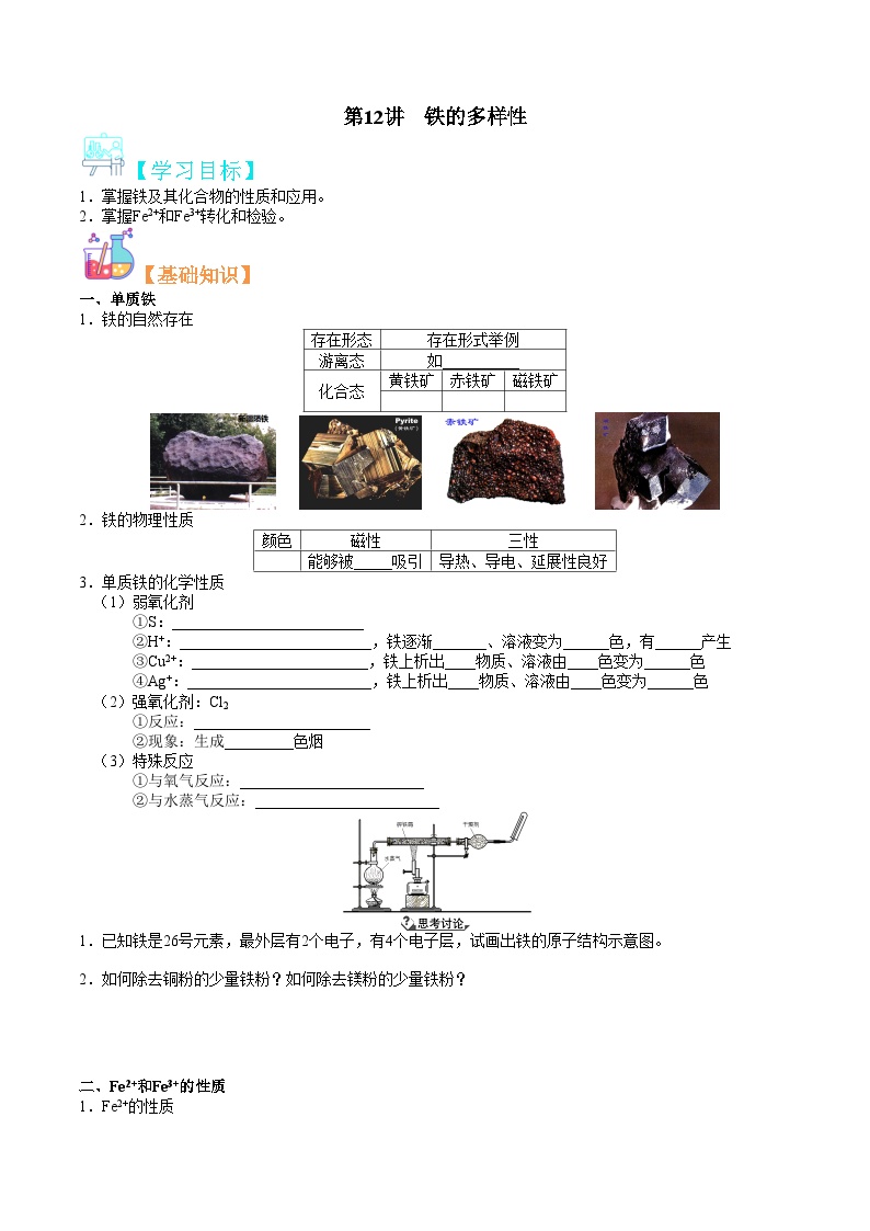 第12讲 铁的多样性-新高一化学暑假精品课程（鲁科版2019）（原卷版）