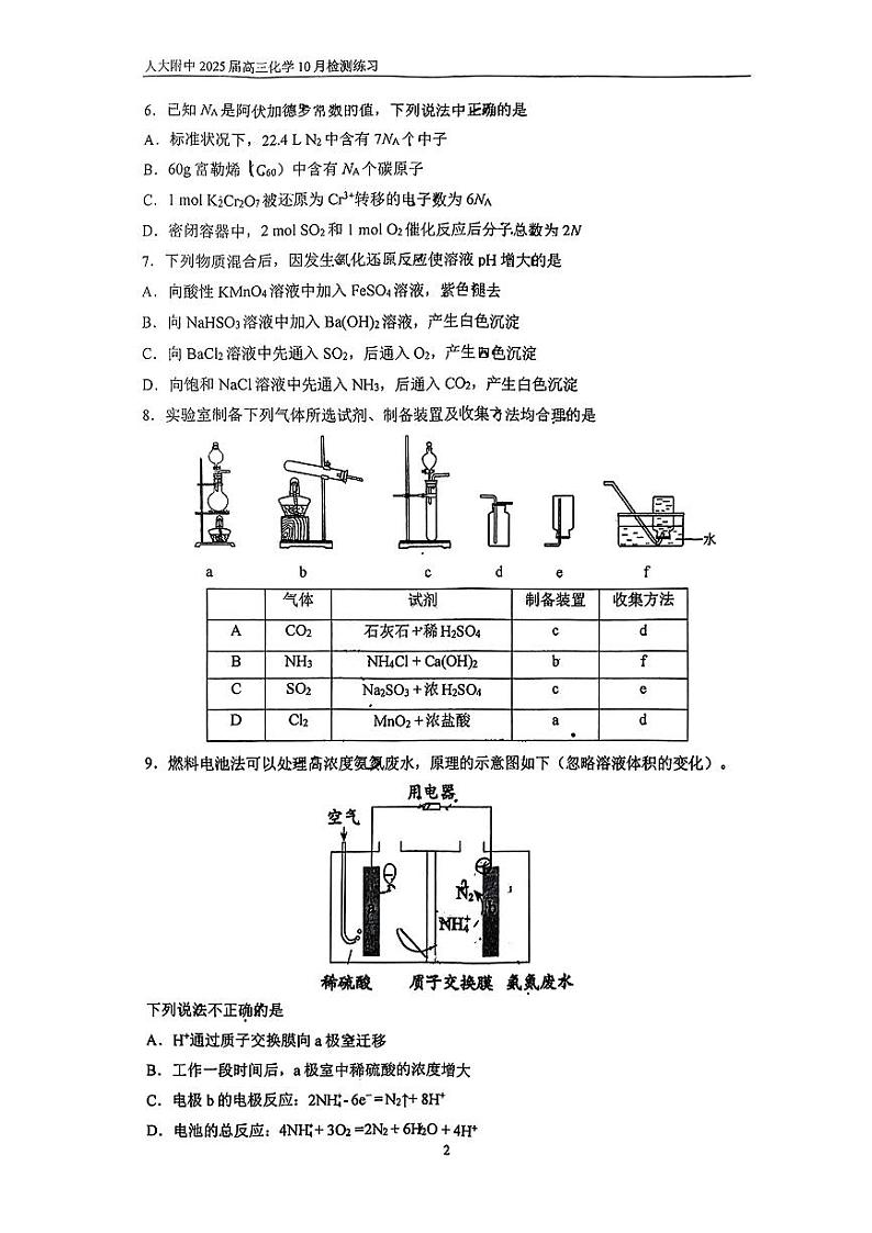 北京市中国人民大学附属中学2024-2025学年高三上学期10月检测化学试题(有答案)pdf第2页