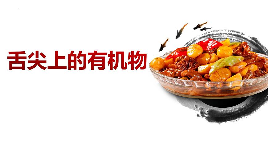 7.3.2乙酸++課件++2023-2024學(xué)年高一下學(xué)期化學(xué)人教版(2019)必修第二冊第1頁