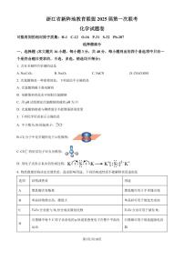 浙江新阵地教育联盟2025届高三上学期10月第一次联考化学试题+答案