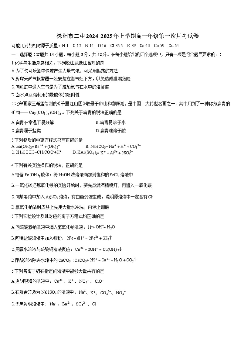 湖南省株洲市第二中学2024-2025学年高一上学期10月月考化学试题第1页