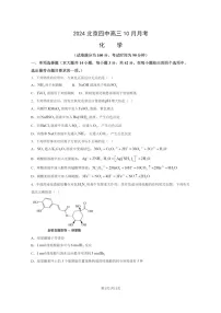 [化学]2024北京四中高三上学期10月月考试卷及答案