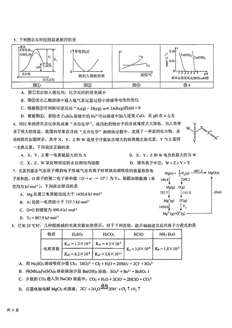 山东省青岛中学2024-2025学年高二上学期第一次月考+化学试题第2页
