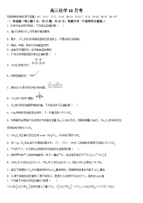 吉林省梅河口市第五中学2024-2025学年高三上学期10月月考 化学试题(含答案)