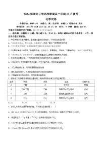 湖北省云学名校联盟2024-2025学年高二上学期10月联考 化学试卷