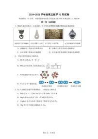 四川省眉山市彭山区第一中学2024-2025学年高三上学期10月月考化学试题