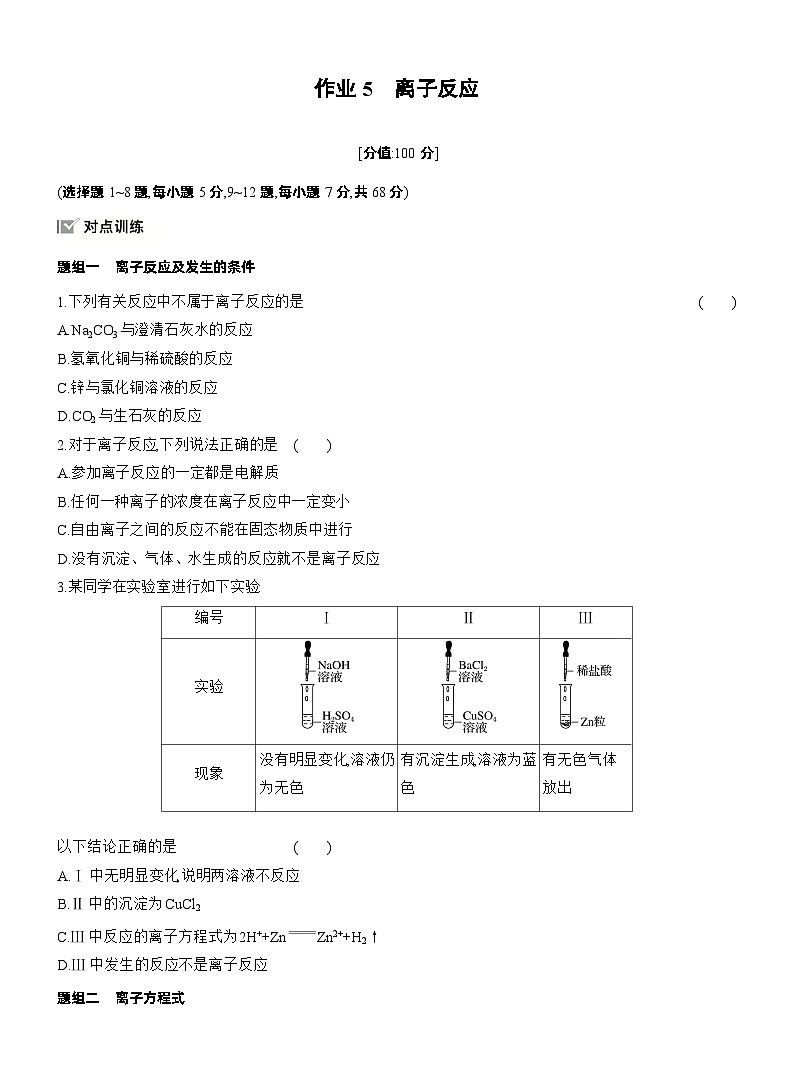 作业5 离子反应第1页