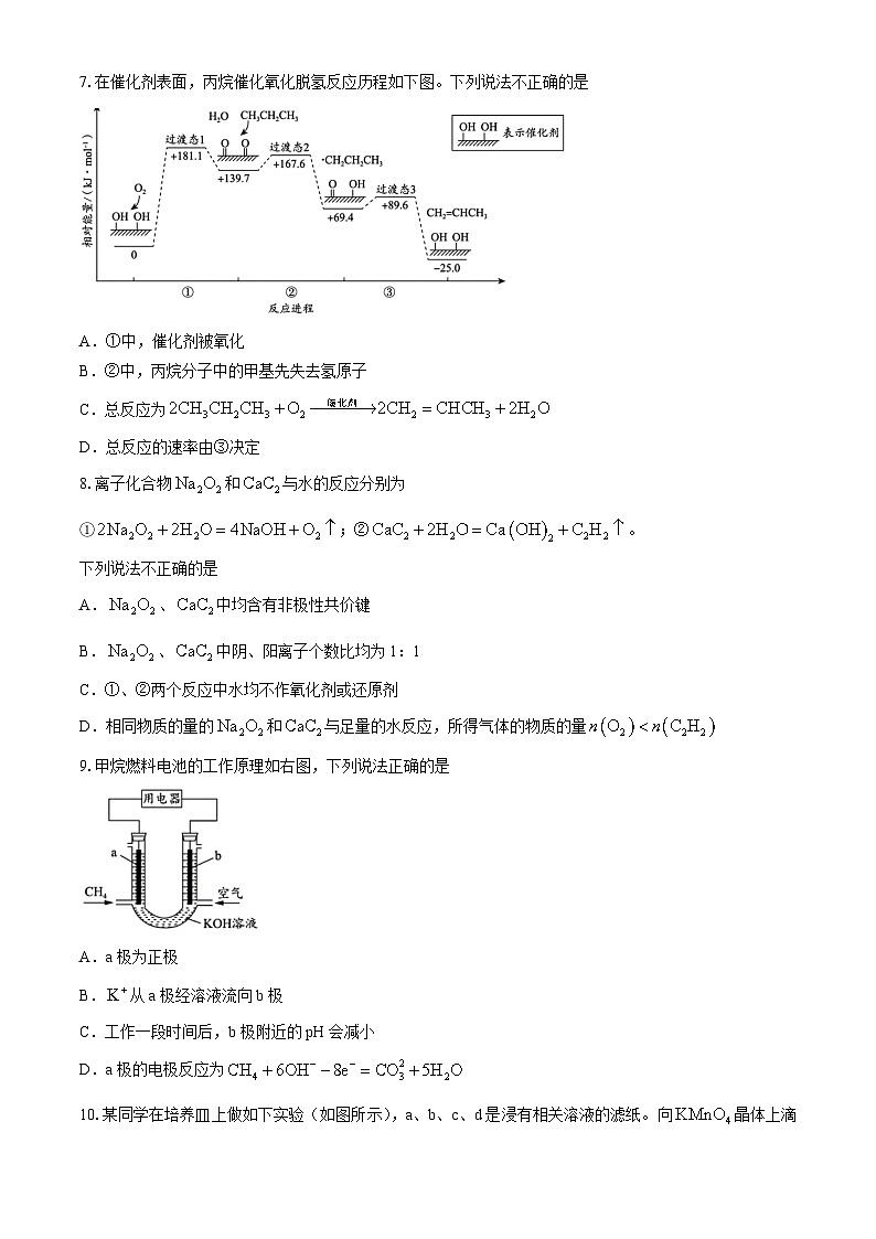 北京市通州区运河中学2024-2025学年高三上学期10月月考化学试题第2页