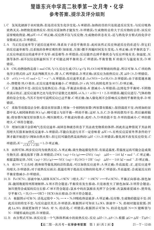 云南省楚雄东兴中学2024-2025学年高二上学期10月第一次月考化学试题01