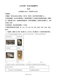 2025届山东省高三上学期10月大联考化学试题（含答案）