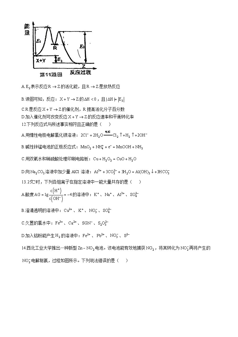 广东省深圳科学高中2023-2024学年高二上学期期中考试化学试题(无答案)第3页