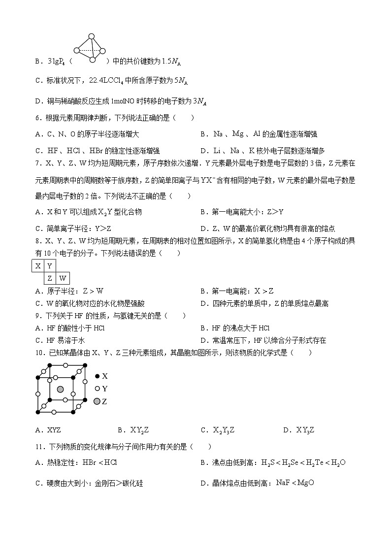 广东省东莞市韩林高级中学2023-2024学年高二上学期期中考试化学试题第2页