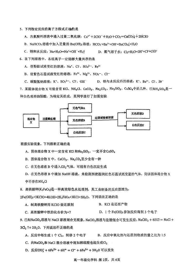 广西大学附中2023-2024年上学期段考高一化学试卷第2页