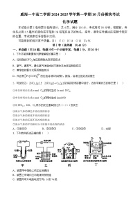威海市第一中學(xué)2024-2025學(xué)年高二上學(xué)期10月月考 化學(xué)試題(無答案)